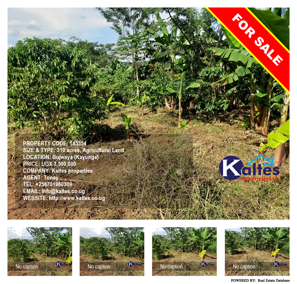 Agricultural Land  for sale in Bujwaya Kayunga Uganda, code: 143354