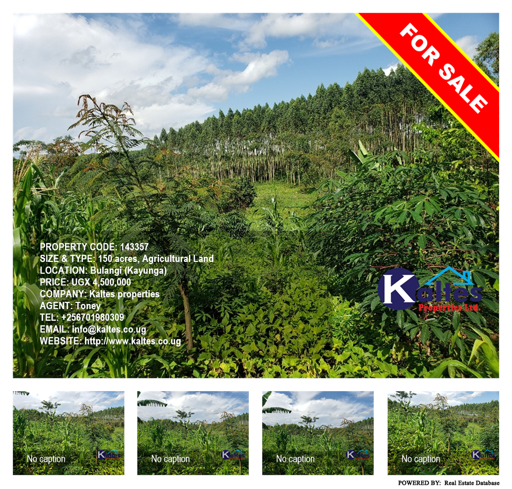 Agricultural Land  for sale in Bulangi Kayunga Uganda, code: 143357