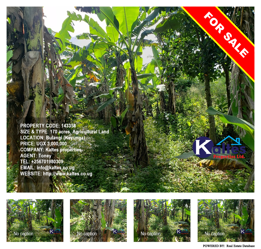 Agricultural Land  for sale in Bulangi Kayunga Uganda, code: 143358