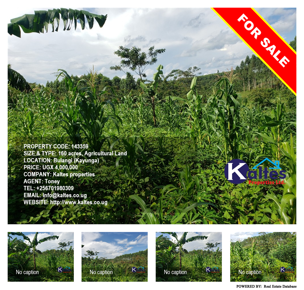 Agricultural Land  for sale in Bulangi Kayunga Uganda, code: 143359