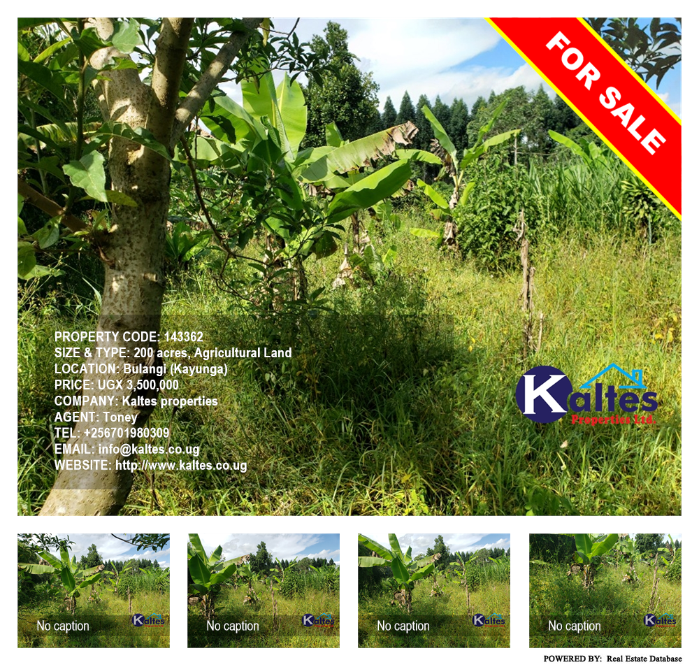 Agricultural Land  for sale in Bulangi Kayunga Uganda, code: 143362