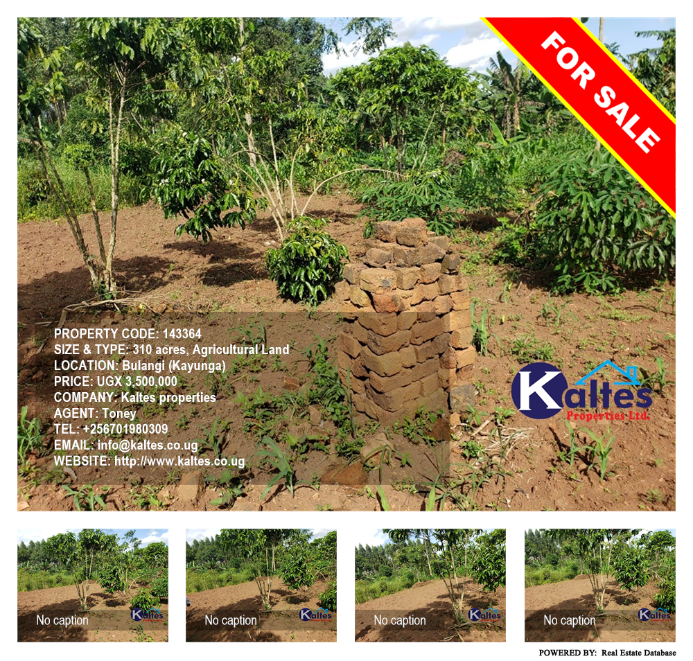 Agricultural Land  for sale in Bulangi Kayunga Uganda, code: 143364