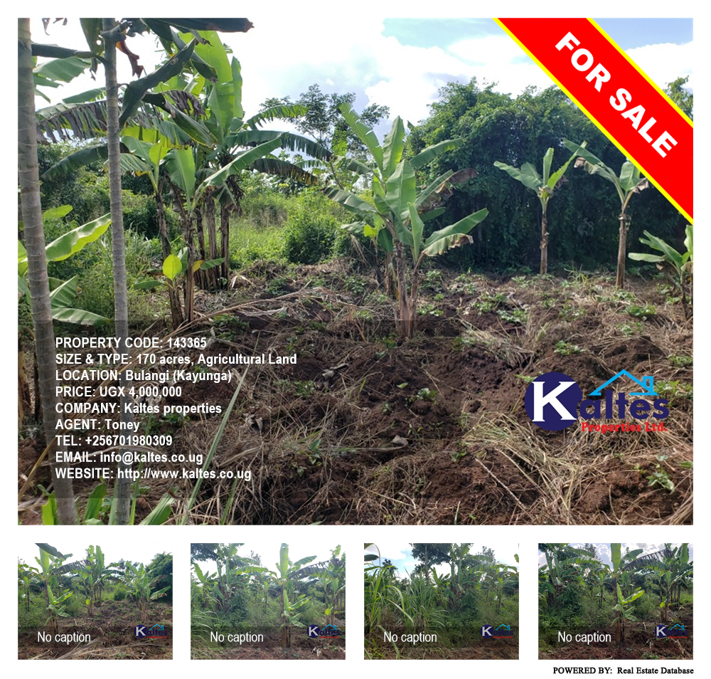 Agricultural Land  for sale in Bulangi Kayunga Uganda, code: 143365