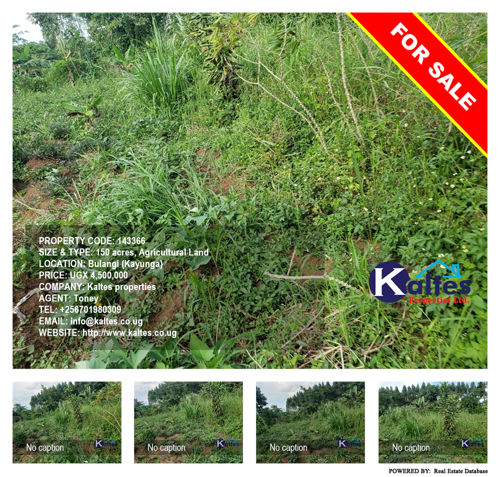 Agricultural Land  for sale in Bulangi Kayunga Uganda, code: 143366
