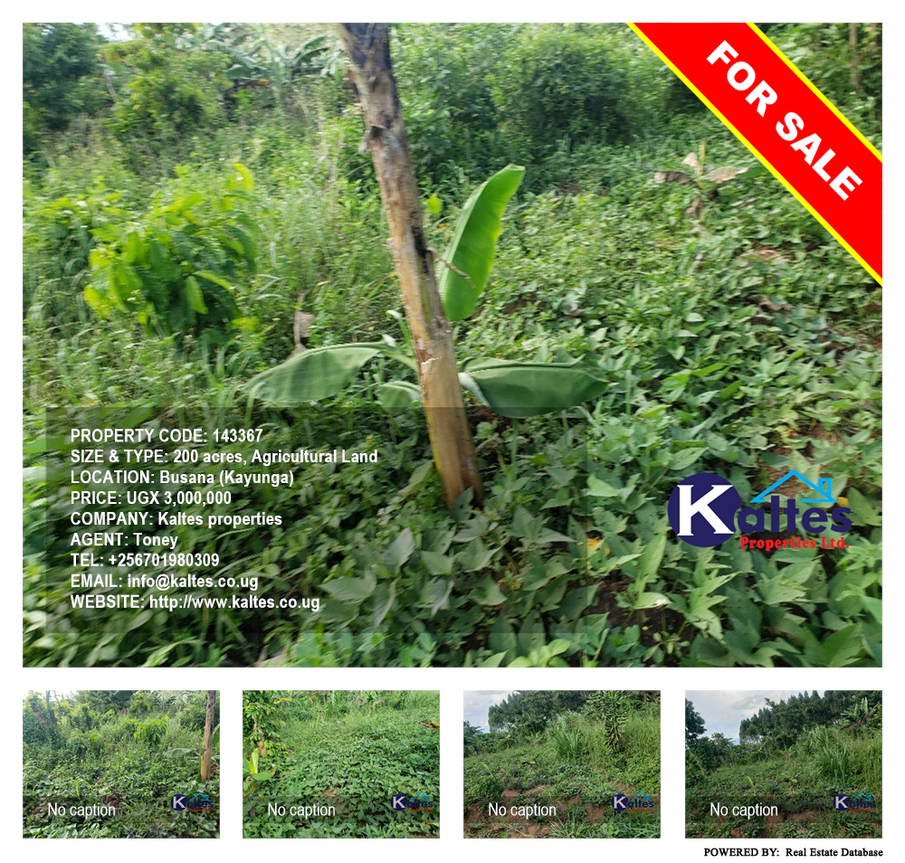 Agricultural Land  for sale in Busana Kayunga Uganda, code: 143367