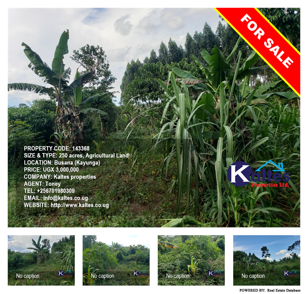 Agricultural Land  for sale in Busana Kayunga Uganda, code: 143368