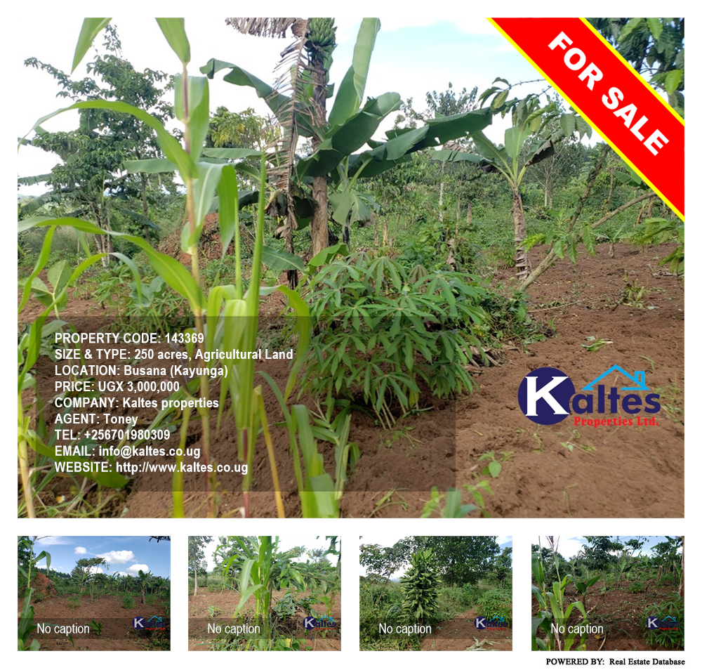 Agricultural Land  for sale in Busana Kayunga Uganda, code: 143369