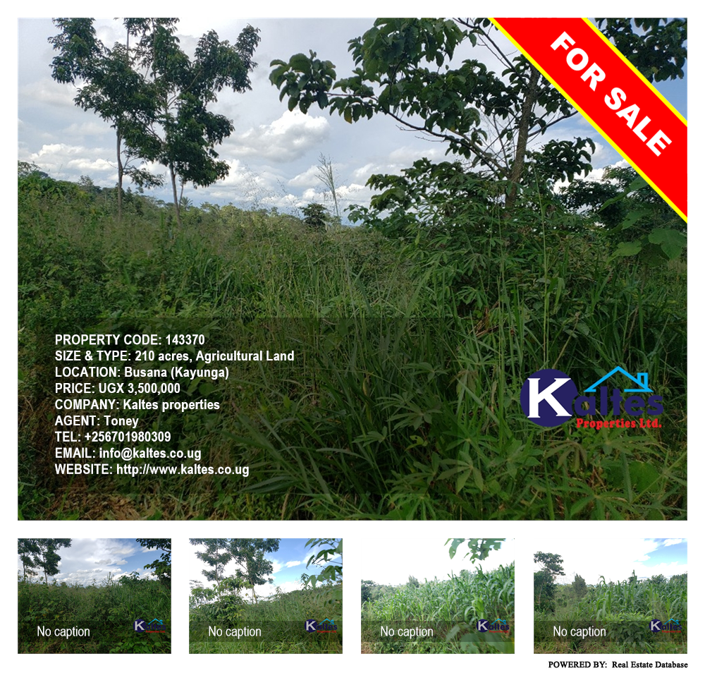 Agricultural Land  for sale in Busana Kayunga Uganda, code: 143370