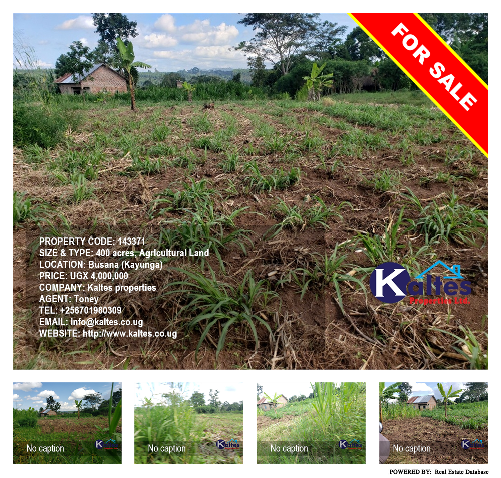 Agricultural Land  for sale in Busana Kayunga Uganda, code: 143371