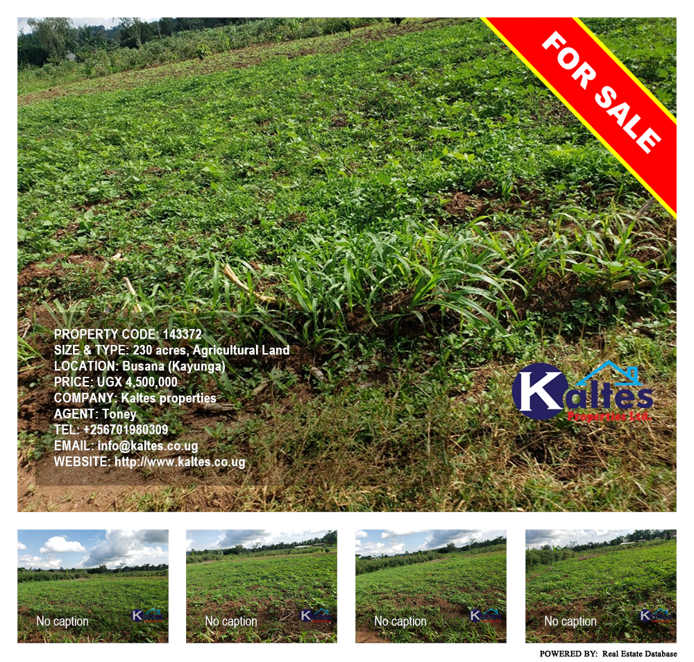 Agricultural Land  for sale in Busana Kayunga Uganda, code: 143372
