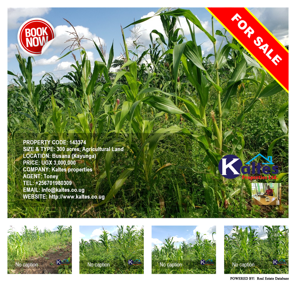 Agricultural Land  for sale in Busana Kayunga Uganda, code: 143374