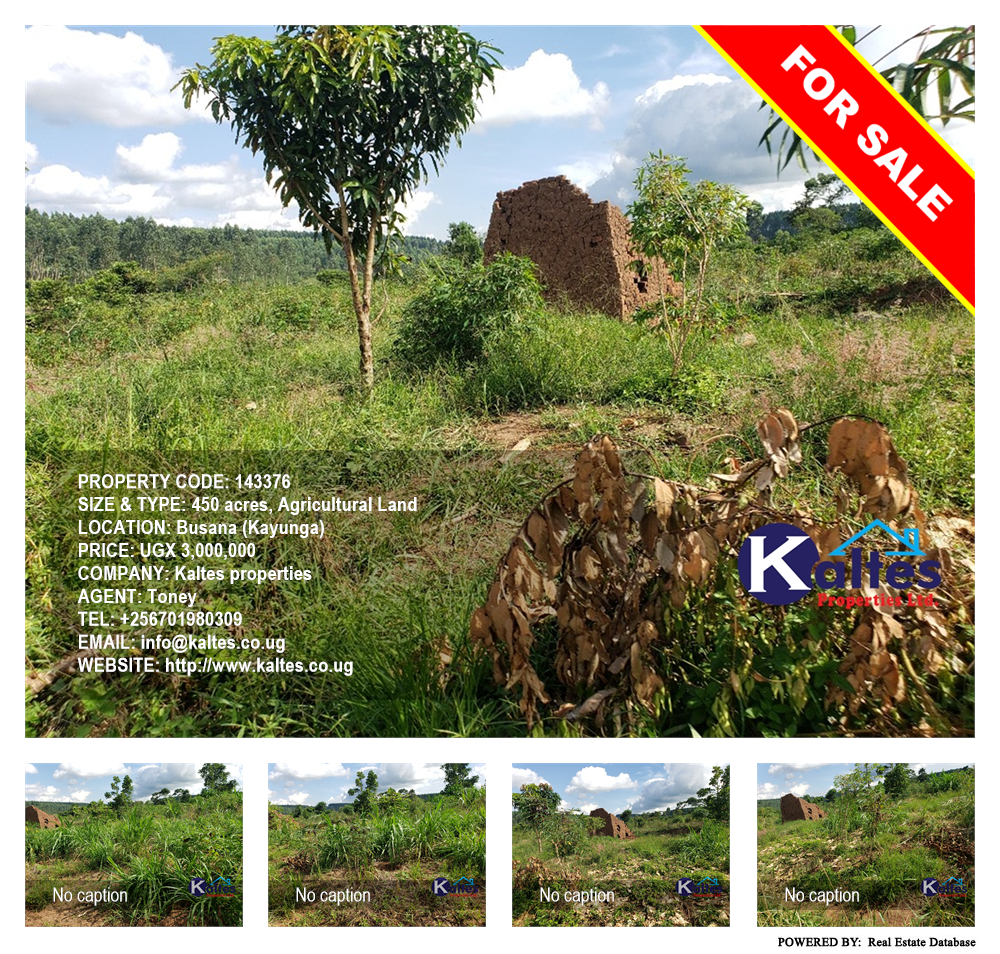 Agricultural Land  for sale in Busana Kayunga Uganda, code: 143376