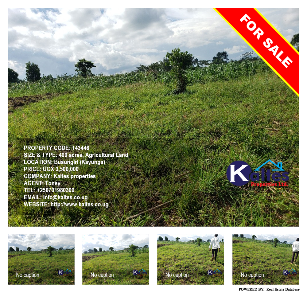 Agricultural Land  for sale in Busungiri Kayunga Uganda, code: 143446