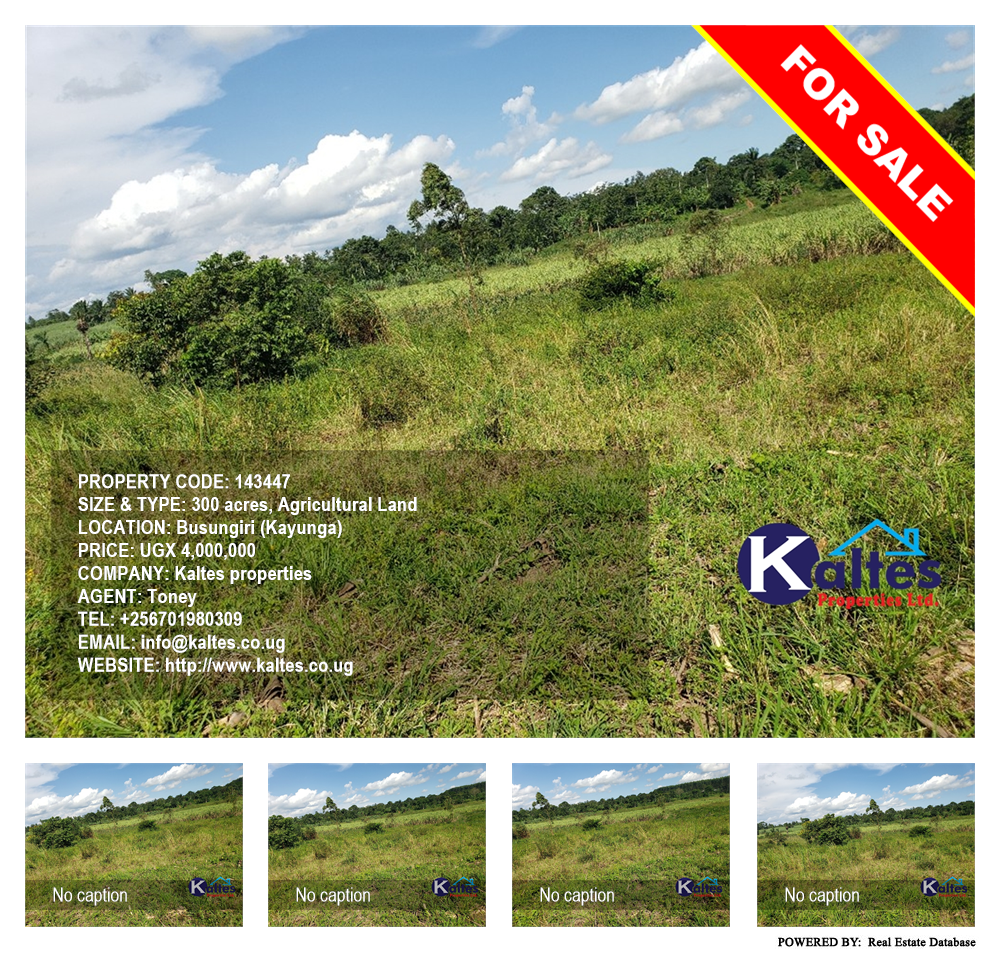 Agricultural Land  for sale in Busungiri Kayunga Uganda, code: 143447