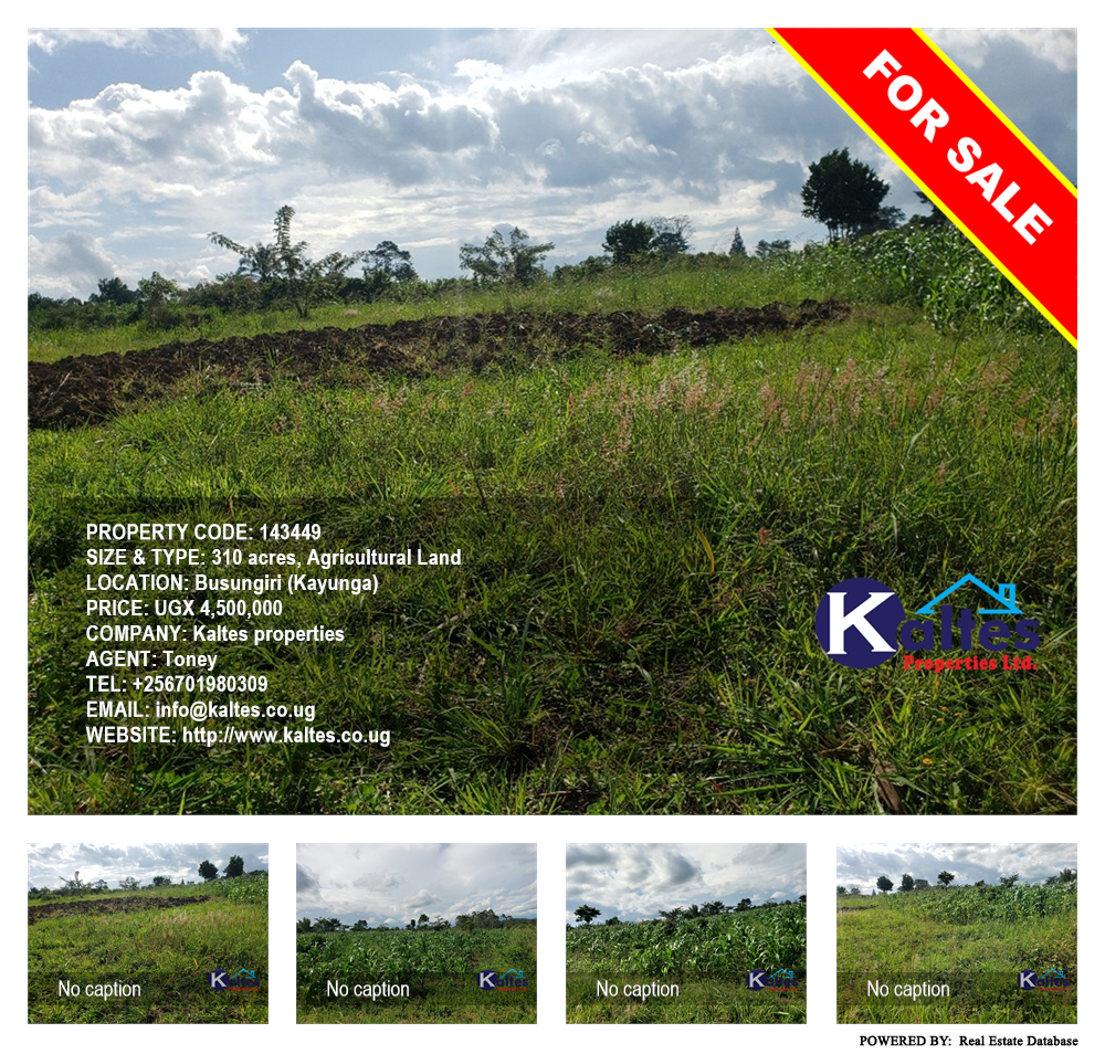 Agricultural Land  for sale in Busungiri Kayunga Uganda, code: 143449