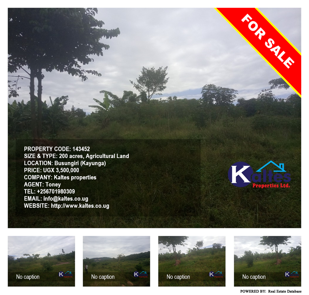 Agricultural Land  for sale in Busungiri Kayunga Uganda, code: 143452