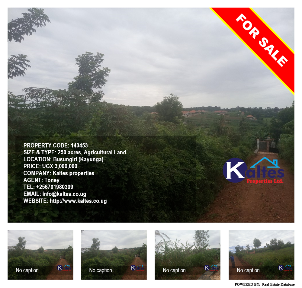 Agricultural Land  for sale in Busungiri Kayunga Uganda, code: 143453