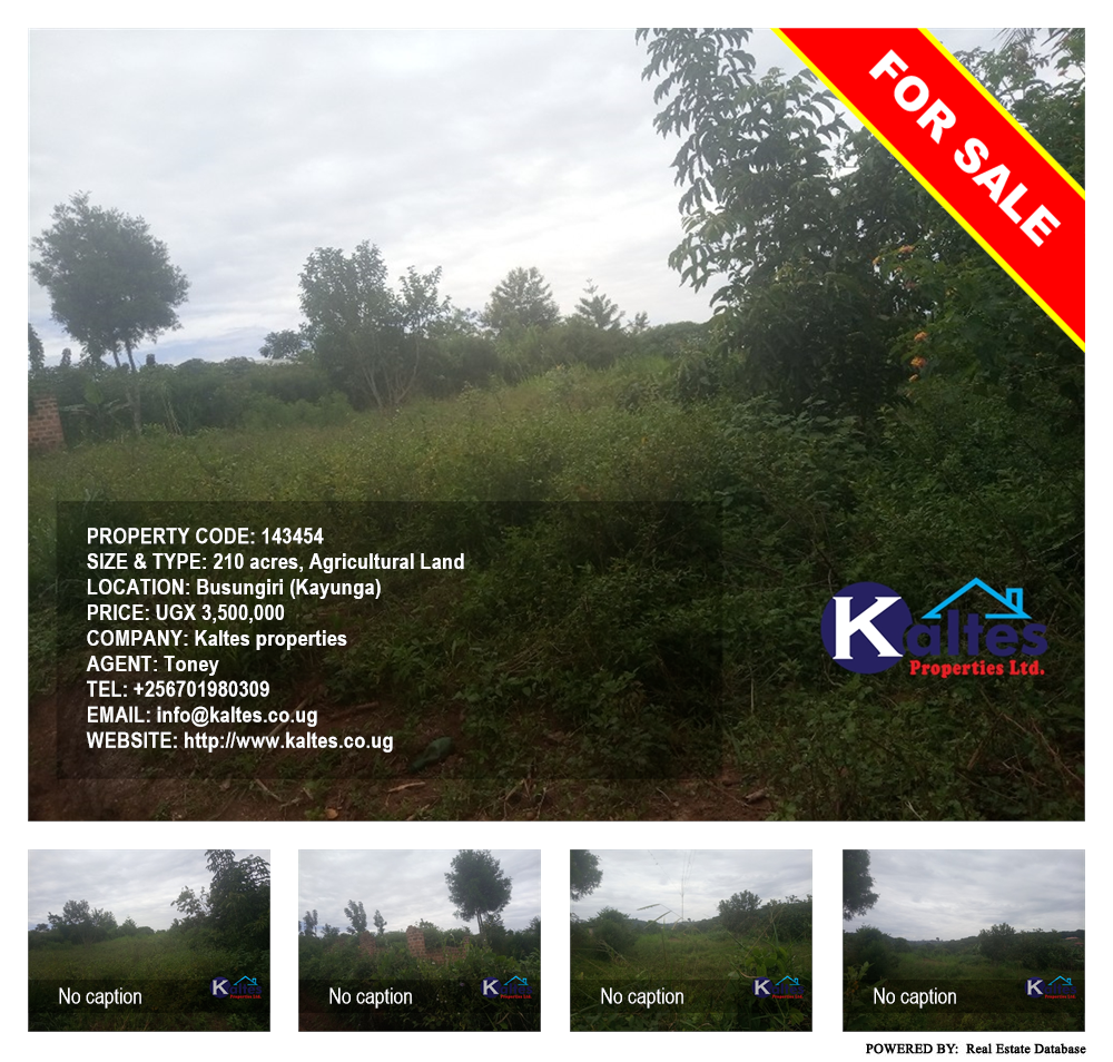 Agricultural Land  for sale in Busungiri Kayunga Uganda, code: 143454