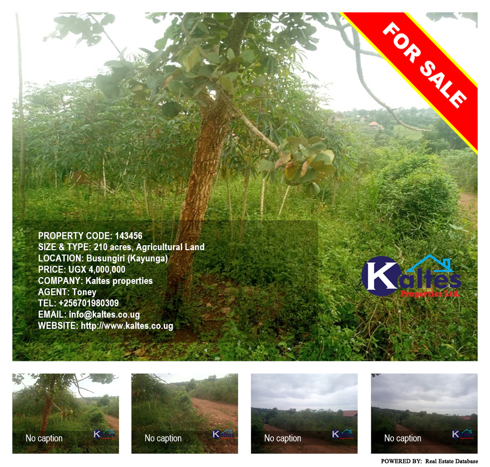 Agricultural Land  for sale in Busungiri Kayunga Uganda, code: 143456