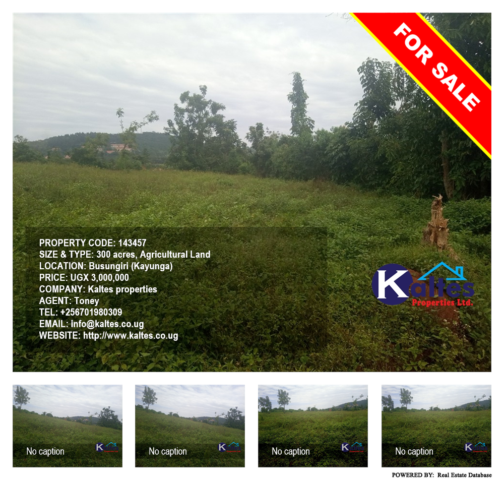 Agricultural Land  for sale in Busungiri Kayunga Uganda, code: 143457