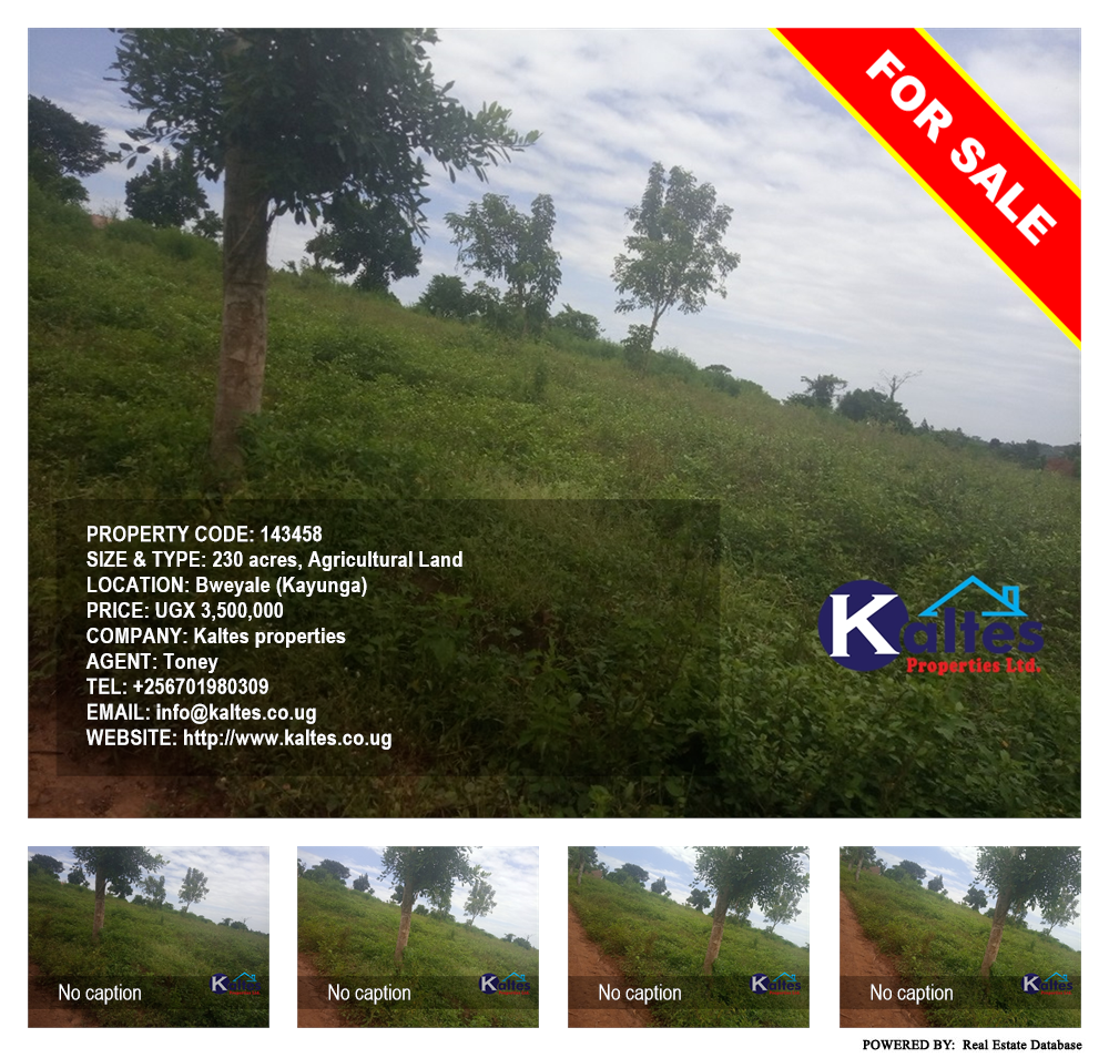 Agricultural Land  for sale in Bweyale Kayunga Uganda, code: 143458