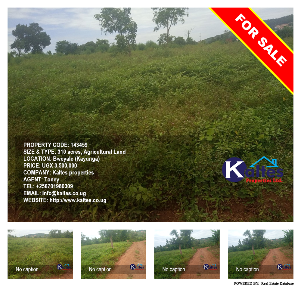 Agricultural Land  for sale in Bweyale Kayunga Uganda, code: 143459