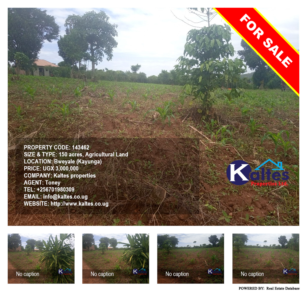 Agricultural Land  for sale in Bweyale Kayunga Uganda, code: 143462