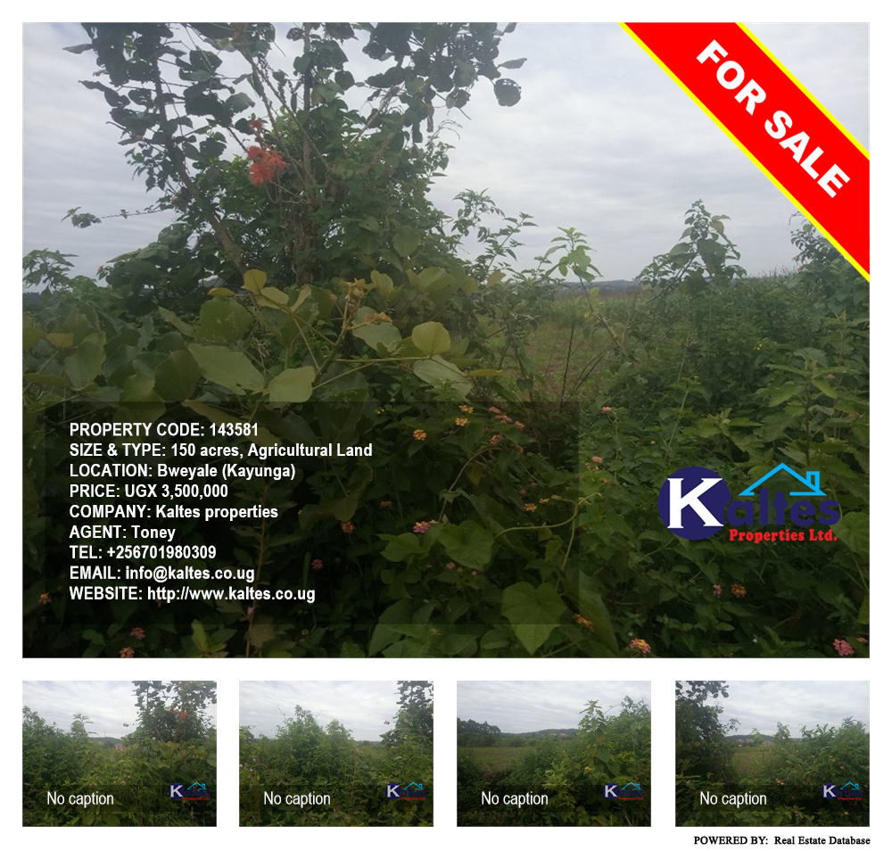 Agricultural Land  for sale in Bweyale Kayunga Uganda, code: 143581
