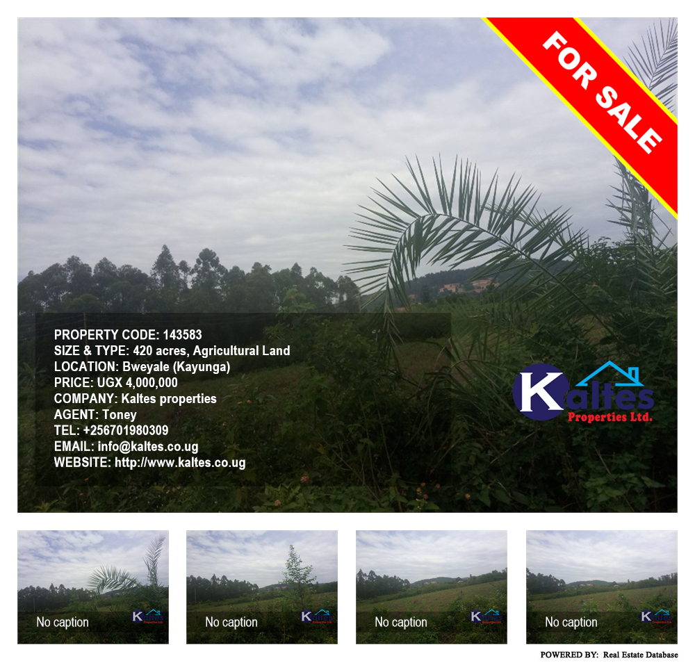 Agricultural Land  for sale in Bweyale Kayunga Uganda, code: 143583