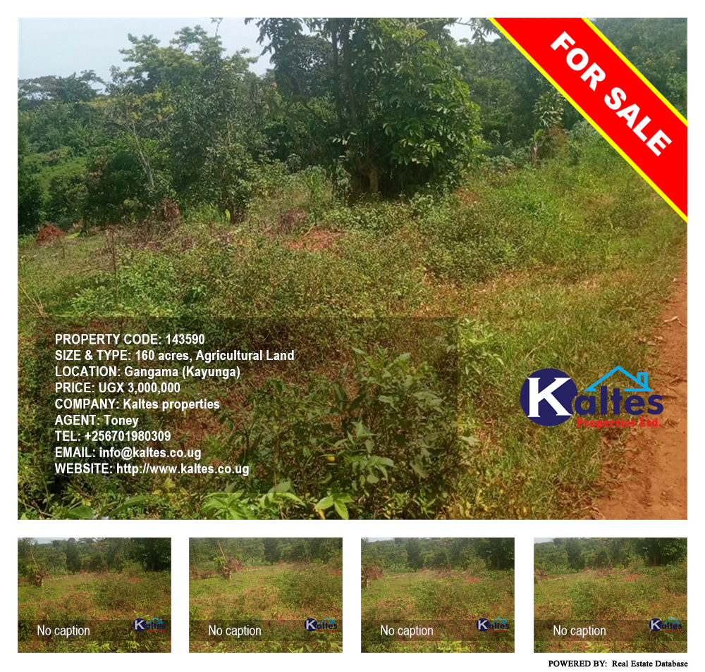 Agricultural Land  for sale in Gangama Kayunga Uganda, code: 143590