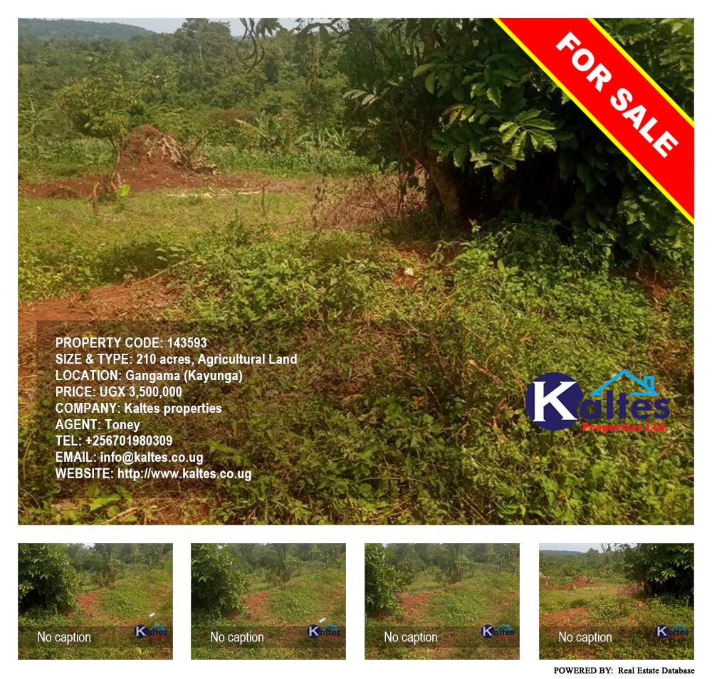 Agricultural Land  for sale in Gangama Kayunga Uganda, code: 143593