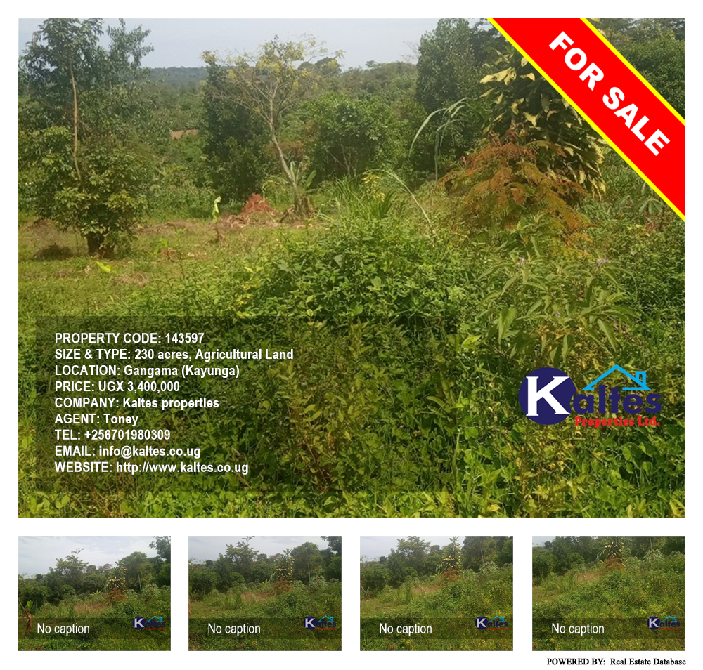 Agricultural Land  for sale in Gangama Kayunga Uganda, code: 143597