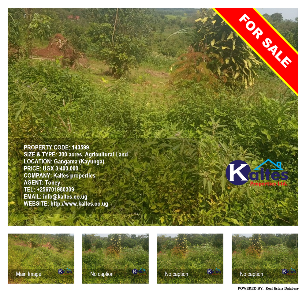 Agricultural Land  for sale in Gangama Kayunga Uganda, code: 143599