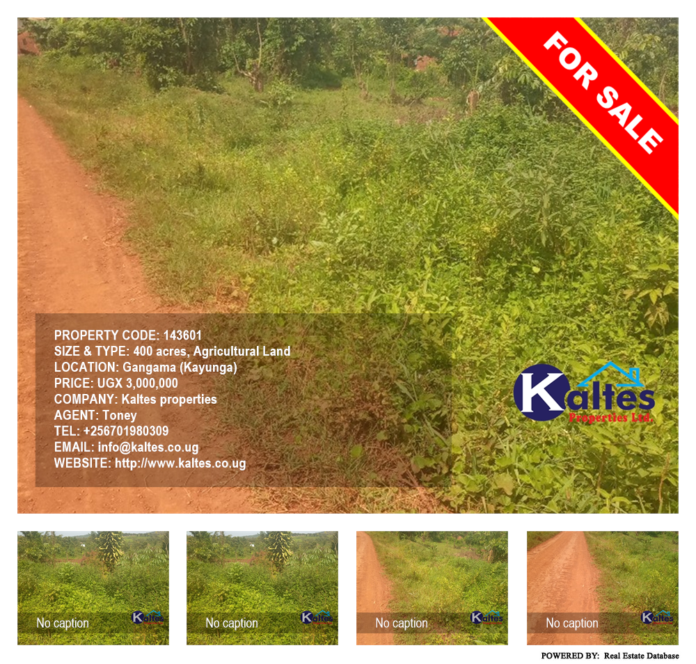 Agricultural Land  for sale in Gangama Kayunga Uganda, code: 143601