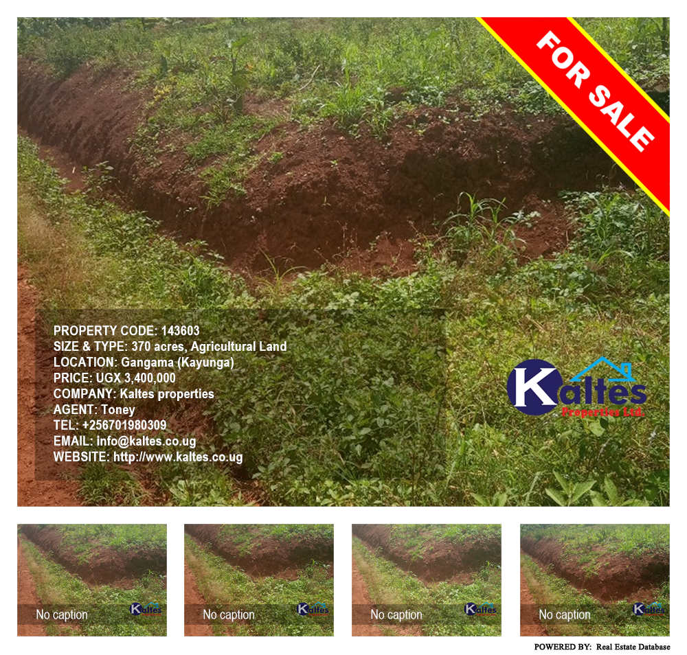 Agricultural Land  for sale in Gangama Kayunga Uganda, code: 143603