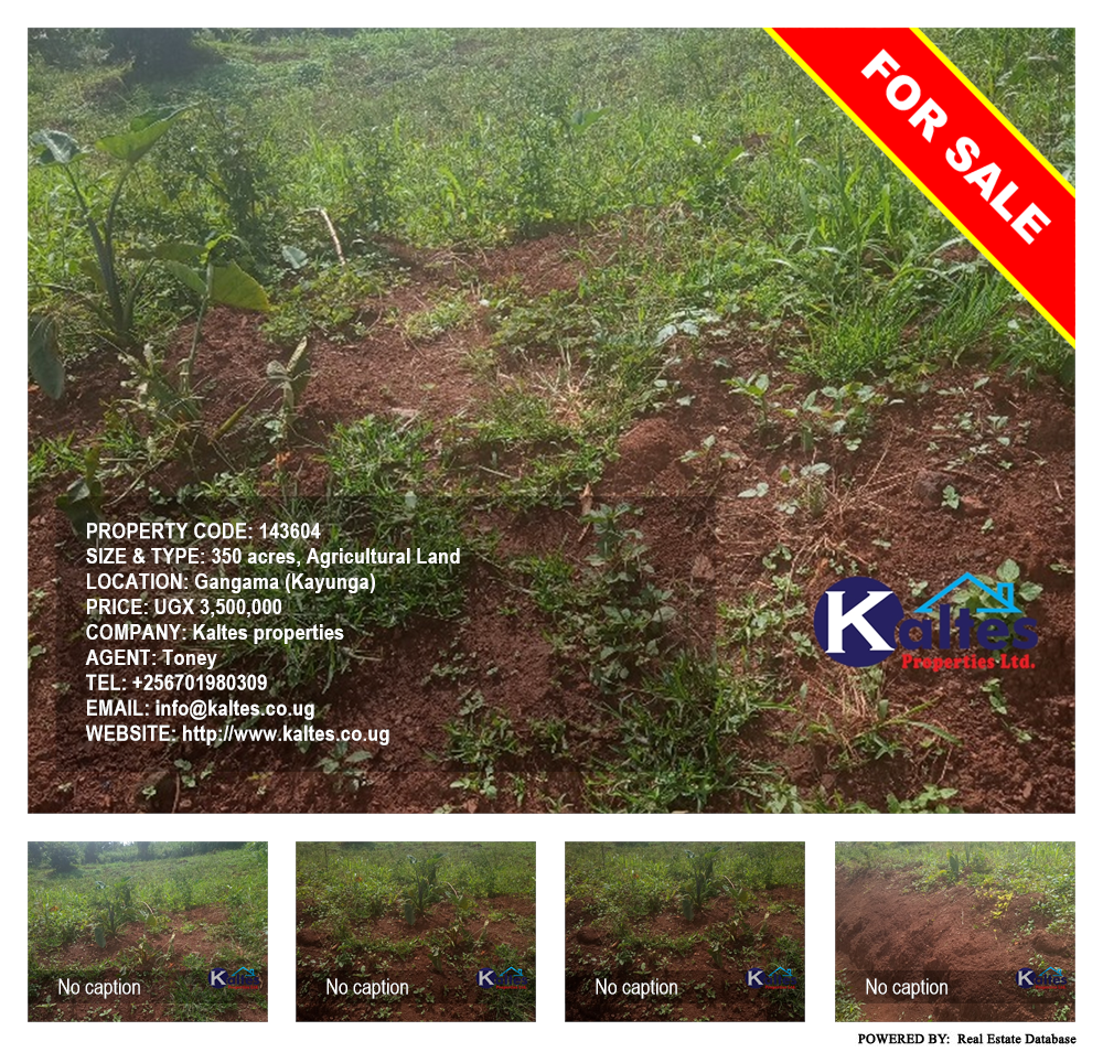 Agricultural Land  for sale in Gangama Kayunga Uganda, code: 143604