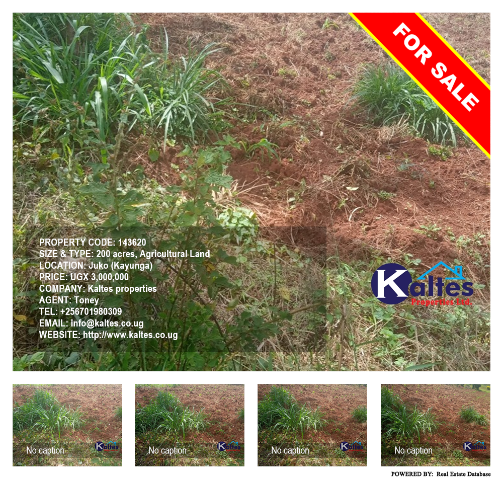 Agricultural Land  for sale in Juko Kayunga Uganda, code: 143620