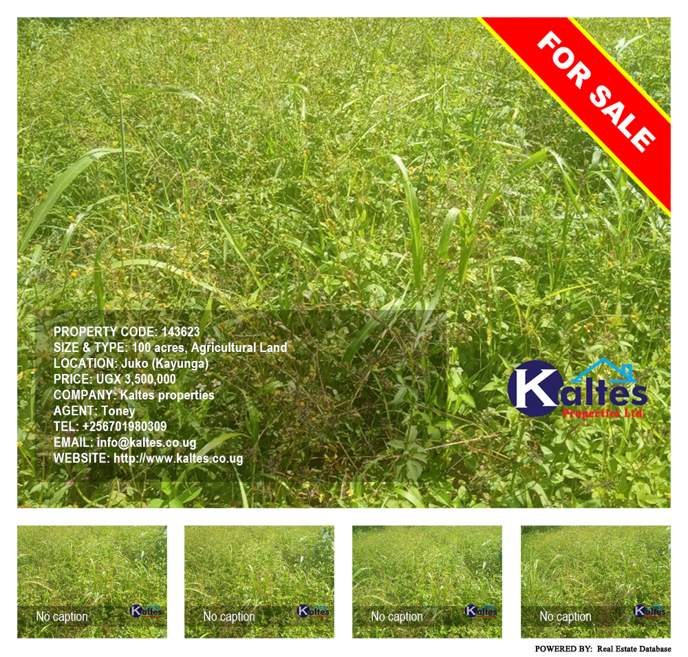 Agricultural Land  for sale in Juko Kayunga Uganda, code: 143623