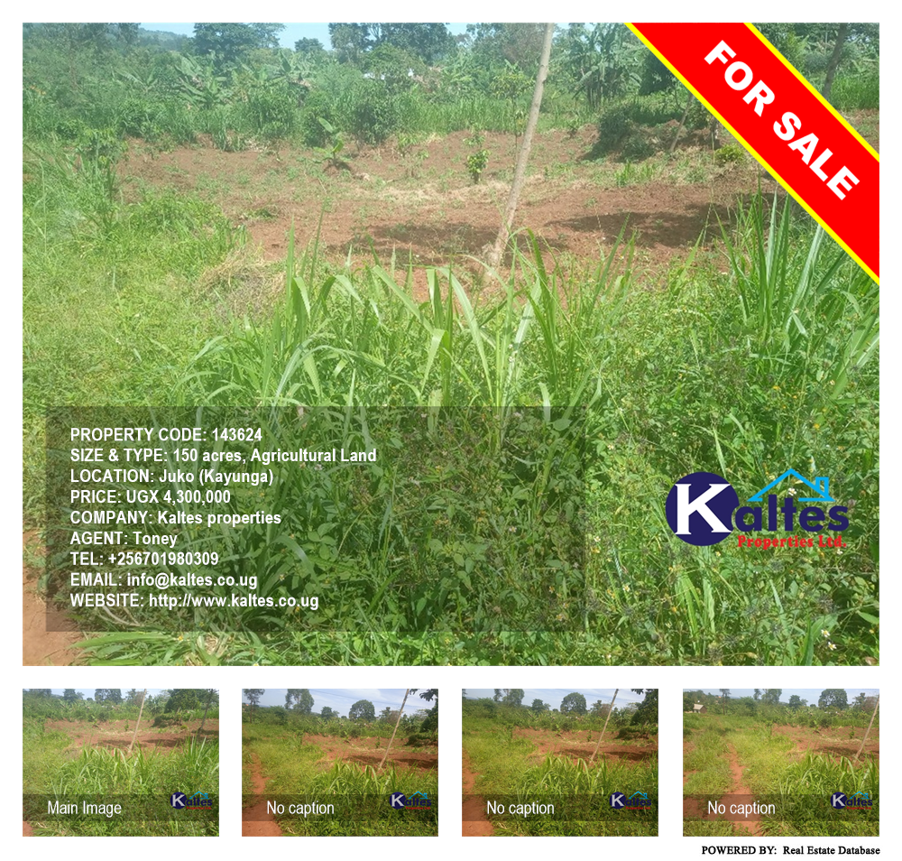 Agricultural Land  for sale in Juko Kayunga Uganda, code: 143624