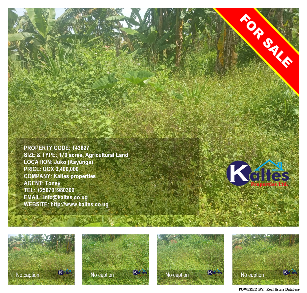 Agricultural Land  for sale in Juko Kayunga Uganda, code: 143627