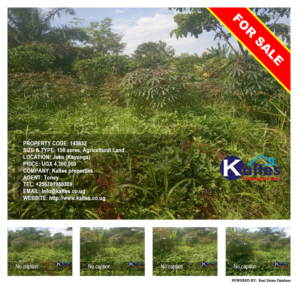 Agricultural Land  for sale in Juko Kayunga Uganda, code: 143632