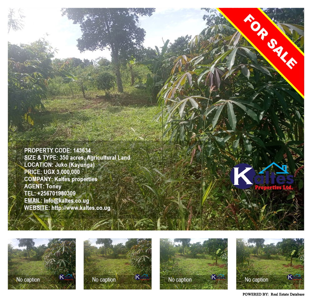 Agricultural Land  for sale in Juko Kayunga Uganda, code: 143634