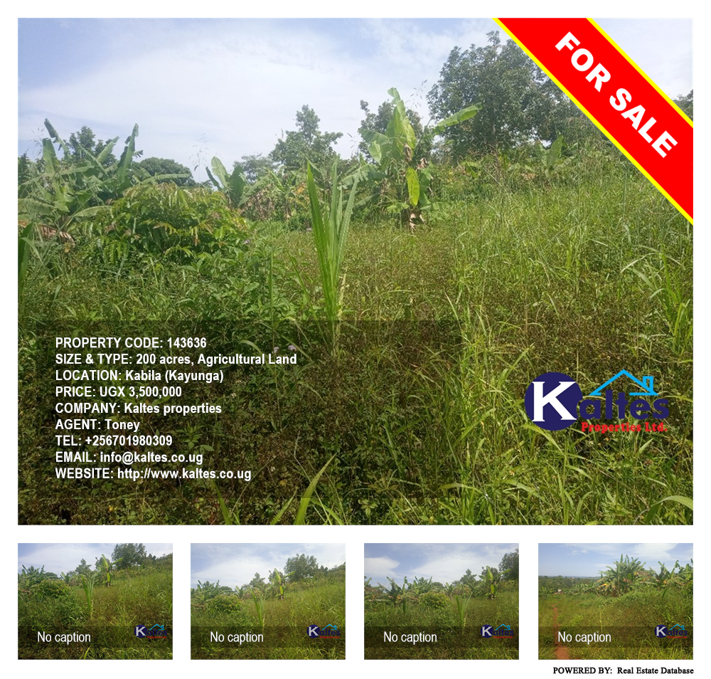 Agricultural Land  for sale in Kabila Kayunga Uganda, code: 143636