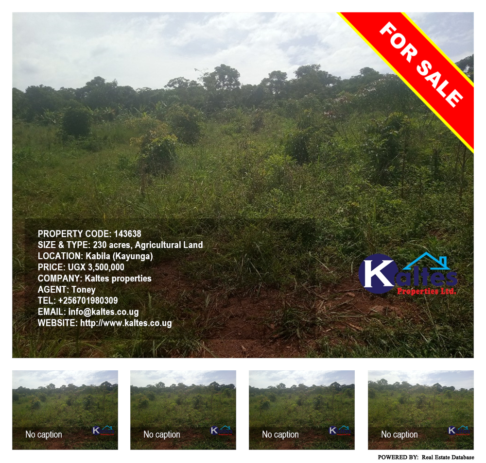 Agricultural Land  for sale in Kabila Kayunga Uganda, code: 143638