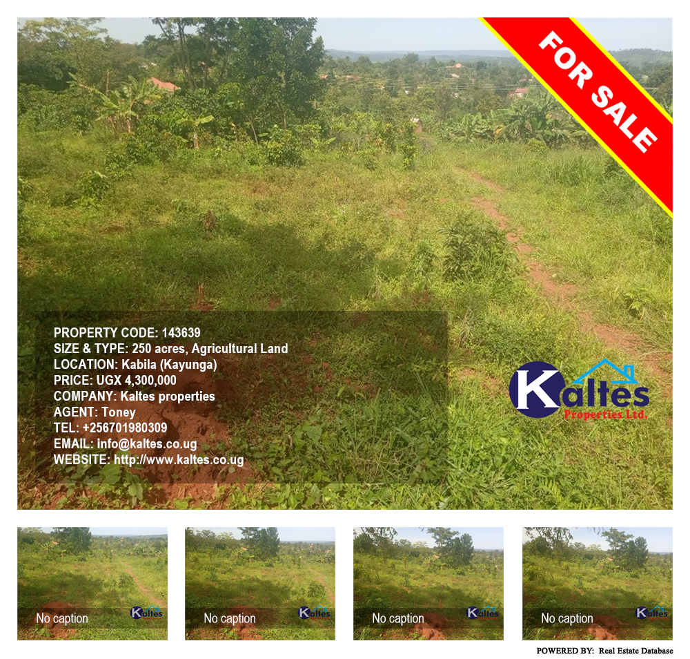 Agricultural Land  for sale in Kabila Kayunga Uganda, code: 143639