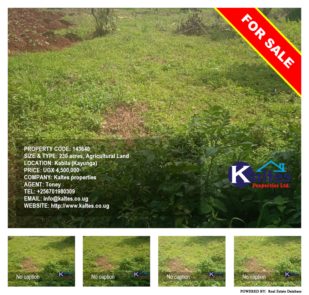 Agricultural Land  for sale in Kabila Kayunga Uganda, code: 143640