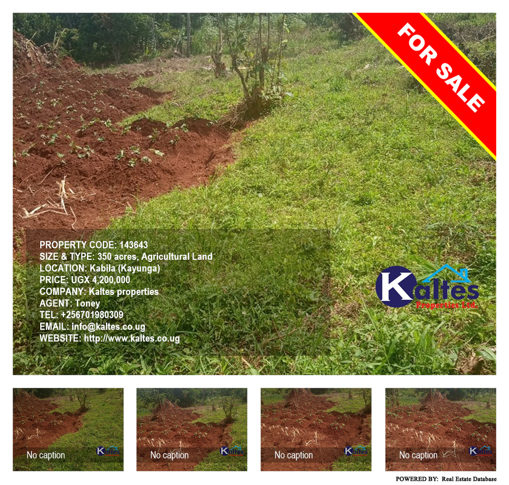 Agricultural Land  for sale in Kabila Kayunga Uganda, code: 143643