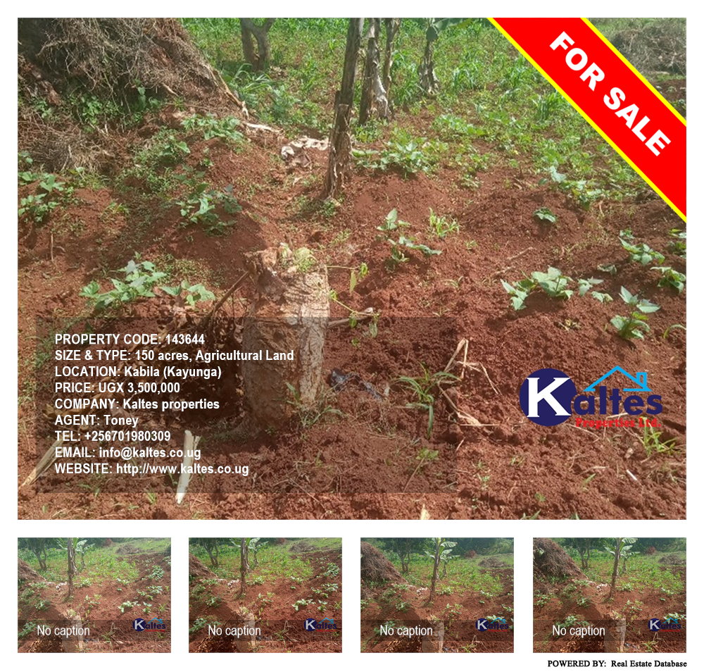 Agricultural Land  for sale in Kabila Kayunga Uganda, code: 143644