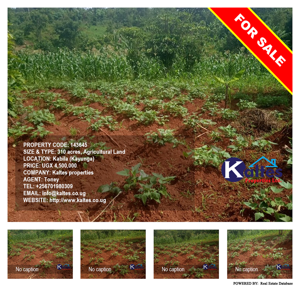Agricultural Land  for sale in Kabila Kayunga Uganda, code: 143645