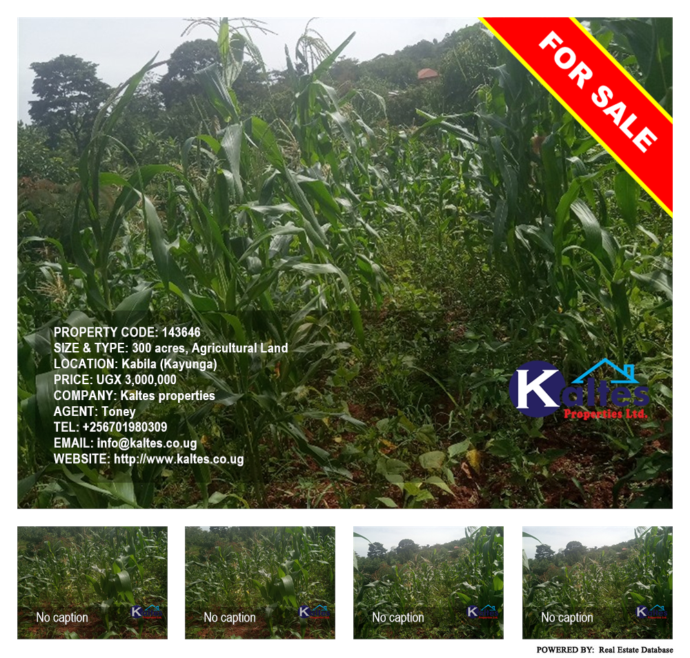 Agricultural Land  for sale in Kabila Kayunga Uganda, code: 143646